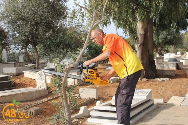 tasoooi3i1412 (29).JPG